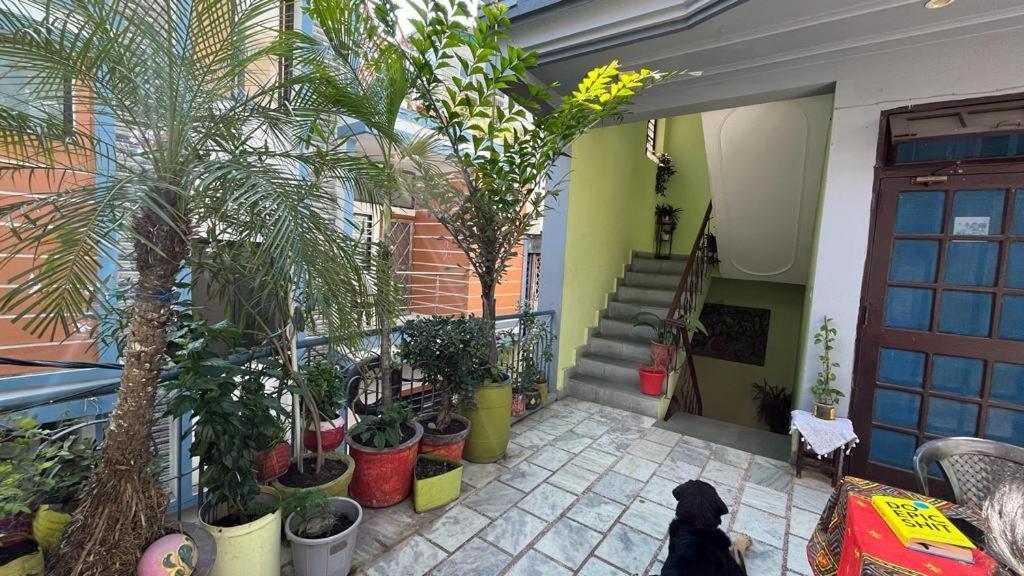 Gungun Homestay Rishīkesh Eksteriør bilde